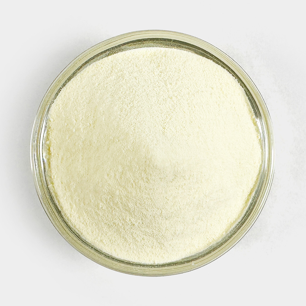 유청가루 유청분말 1kg - 상세 이미지 3