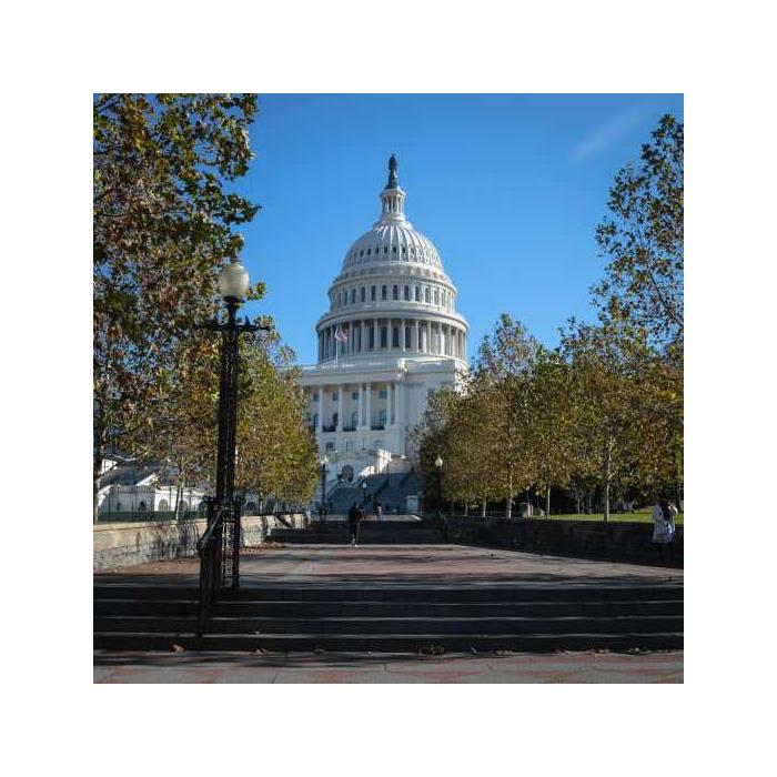 미국 워싱턴DC 벚꽃 투어 이미지 4