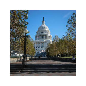 미국 워싱턴DC 벚꽃 투어 솔직 후기 | 실사용자 리뷰 분석 - 상품 이미지 4