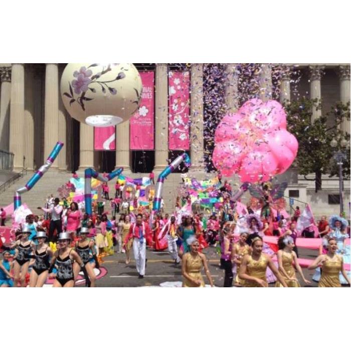 미국 워싱턴DC 벚꽃 투어 이미지 3