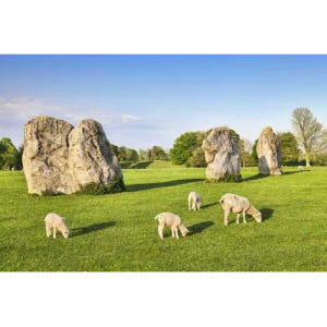 영국 런던 출발 배스, 에이브베리, 라콕 빌리지 일일 여행 솔직 후기 | 실사용자 리뷰 분석 - 상품 이미지 2