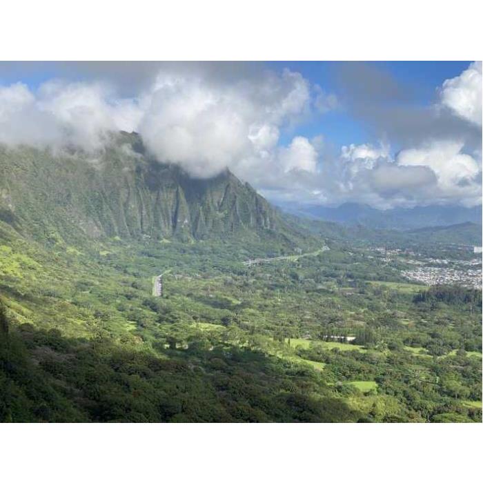 미국 하와이 오아후 섬 프라이빗 일일 미식 및 관광 투어 이미지 2