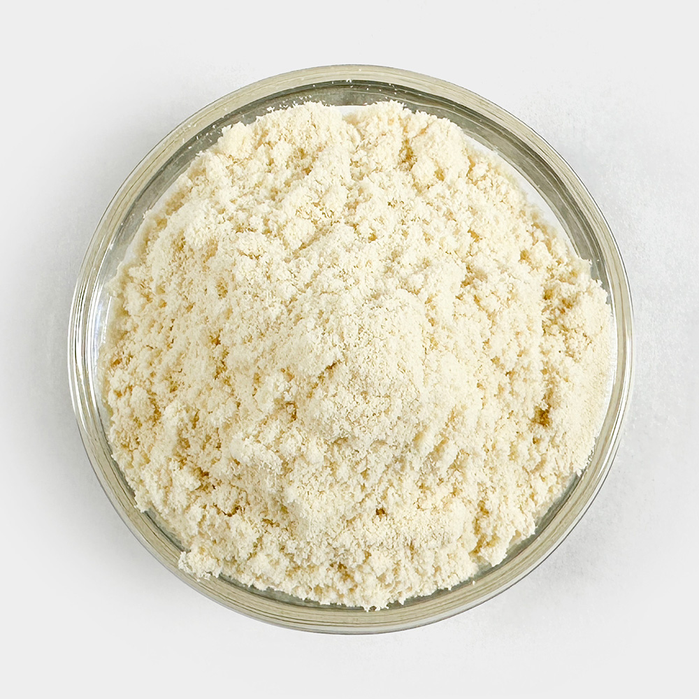 농축유청단백질 분말 WPC 1kg - 상세 이미지 3