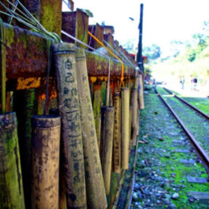 대만 핑시 일일 투어 | 핑시 & 스펀 & 징퉁 라오지에 투어 | 소그룹... 솔직 후기 | 실사용자 리뷰 분석 - 상품 이미지 2