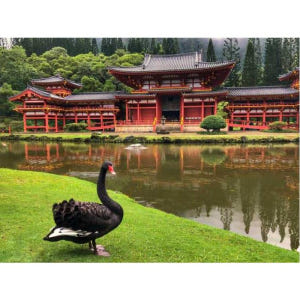 미국 하와이 오아후 섬 프라이빗 일일 미식 및 관광 투어 솔직 후기 | 실사용자 리뷰 분석 - 상품 이미지 3