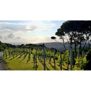 뉴질랜드 오클랜드 와이헤케 섬 맛보고 즐기는 플래터 & 디저트 투어 솔직 후기 | 실사용자 리뷰 분석 - 상품 이미지 3