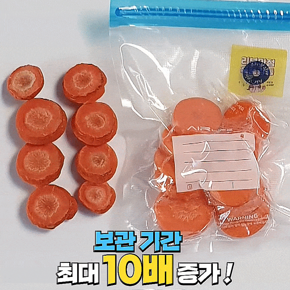 에어라이프 진공포장기 가정용 휴대용 밀봉기 실링기 푸드세이버 충전식 캠핑 본품