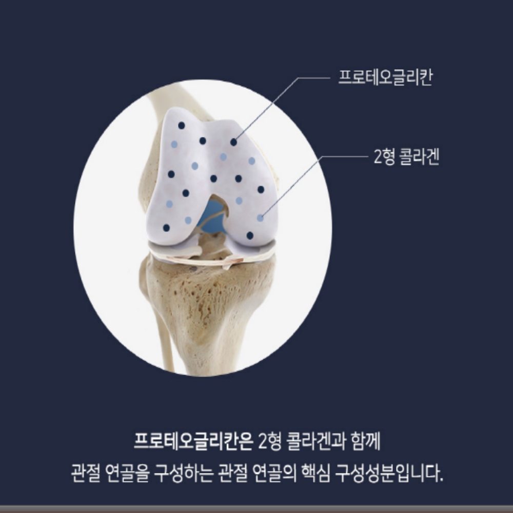 영양제쇼핑몰 연어코 소연골 콘드로이친 프로테오글리칸 - 상세 이미지 5