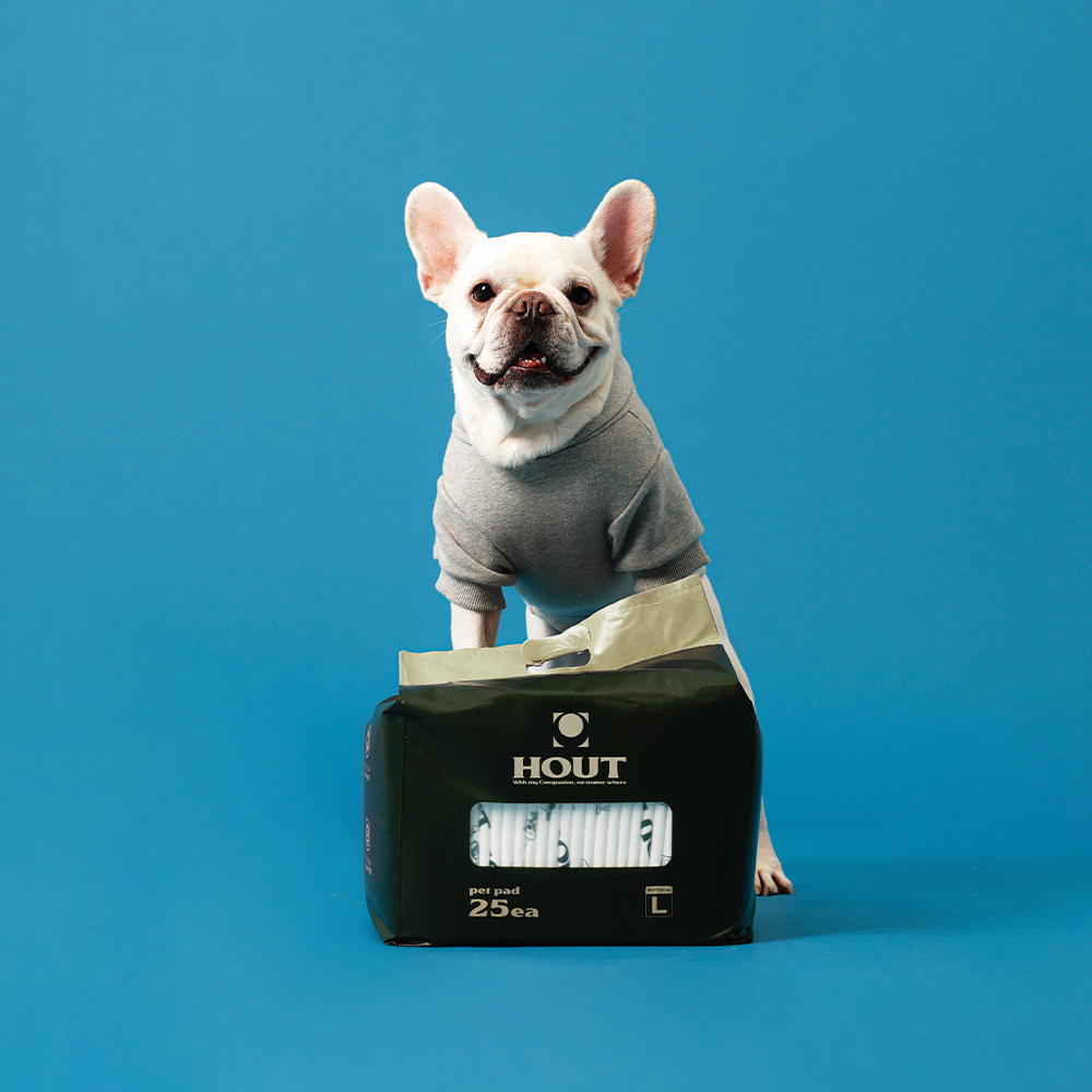 하웃 강아지 애견 배변 패드 두꺼운 반려견 패드 대형, 25매입, 2개
