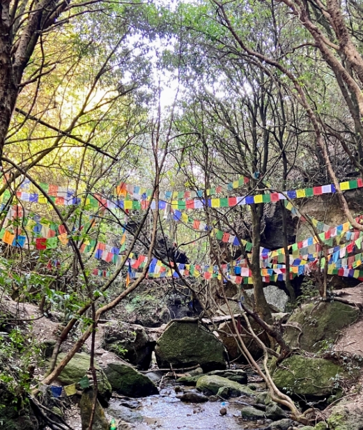 네팔  카트만두 하이킹 투어 솔직 후기 | 실사용자 리뷰 분석 - 대표 이미지