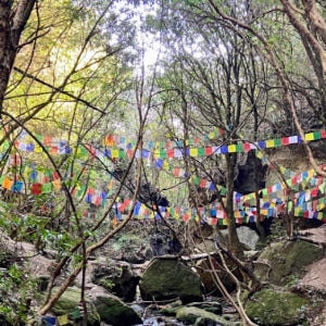 네팔  카트만두 하이킹 투어 솔직 후기 | 실사용자 리뷰 분석 - 상품 이미지 1