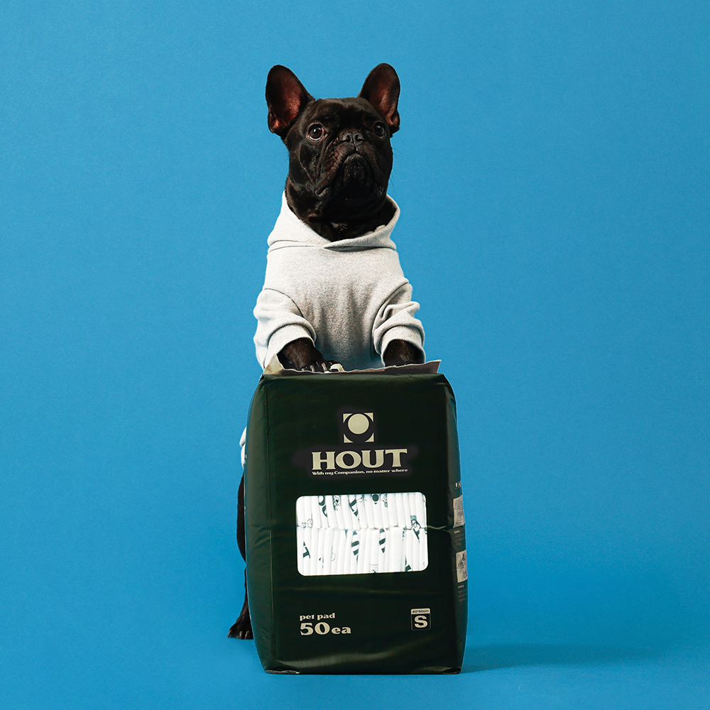 하웃 강아지 애견 배변 패드 두꺼운 반려견 패드 대형, 25매입, 2개