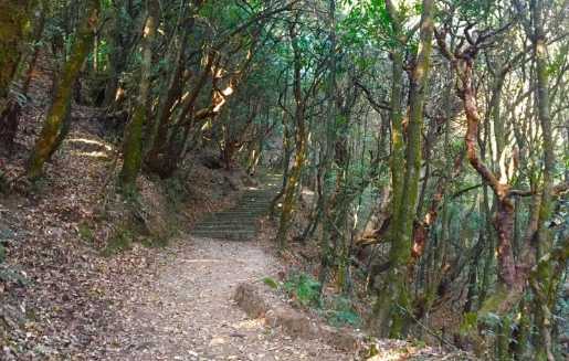 네팔  카트만두 하이킹 투어 이미지 2