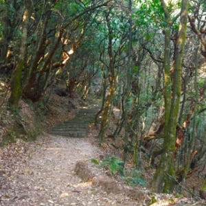 네팔  카트만두 하이킹 투어 솔직 후기 | 실사용자 리뷰 분석 - 상품 이미지 2