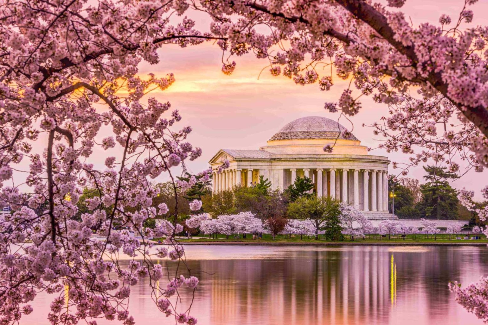 [2024 벚꽃축제] 미국 워싱턴 일일 투어 | 제퍼슨 기념관 & 이스트 포토맥 공원 & 유니온 마켓 이미지 3