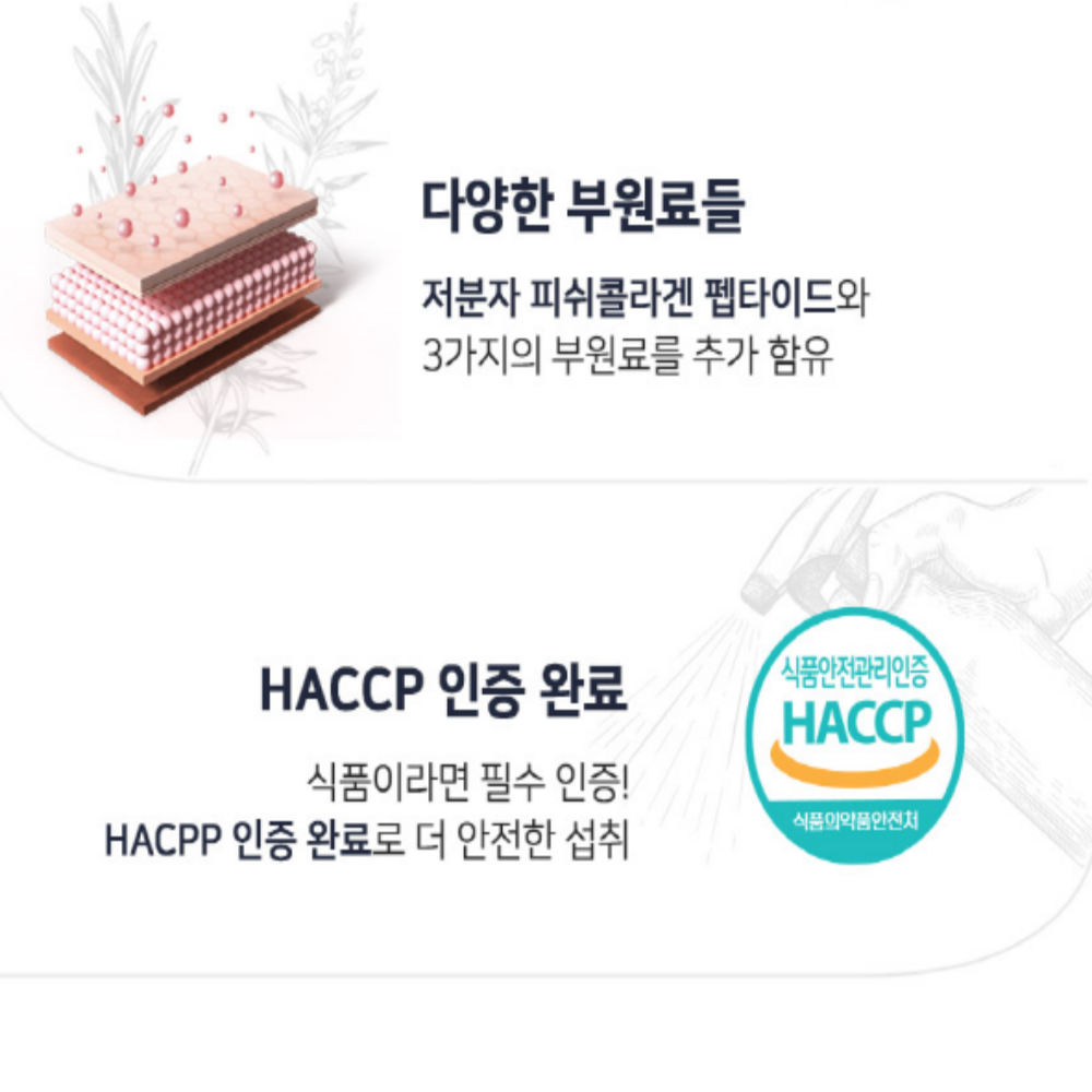 영양제쇼핑몰 연어코 소연골 콘드로이친 프로테오글리칸 - 상세 이미지 4