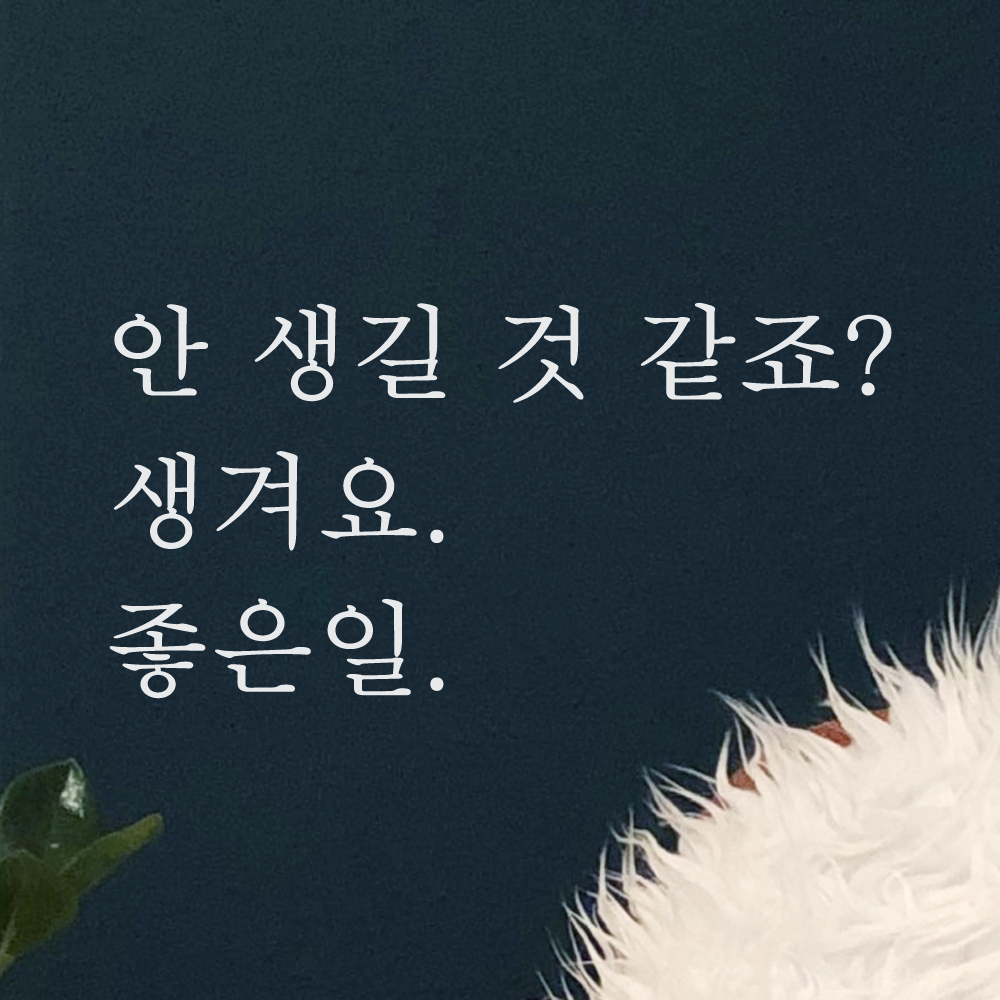 레터링 문구 스티커 안 생길 것 같죠 생겨요 좋은일 검정S 이미지 8