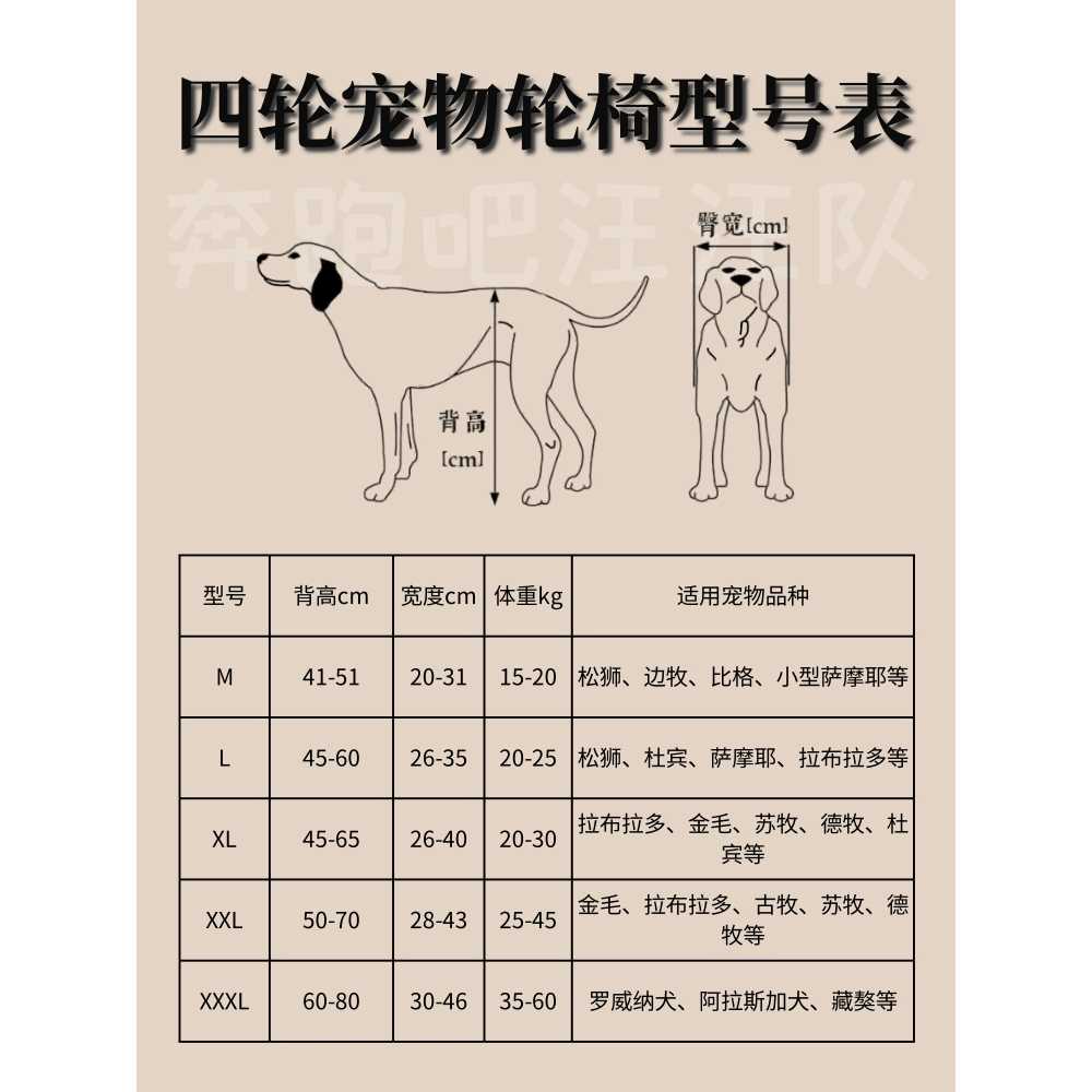 강아지 휠체어 재활 고양이 다리 애견 훈련 보호대 사이즈 M 15-20kg견 사용권장 - 상세 이미지 5