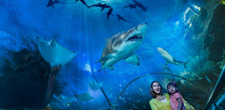 싱가포르 - 쿠알라룸푸르 & 선웨이 라군 버스 티켓 이미지 2