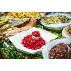 멕시코 멕시코시티 시음과 함께하는 시장 및 그 너머 워킹 투어 솔직 후기 | 실사용자 리뷰 분석 - 상품 이미지 4