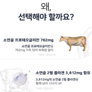 영양제쇼핑몰 연어코 소연골 콘드로이친 프로테오글리칸 맛있게 먹은 솔직 후기 - 상품 이미지 2