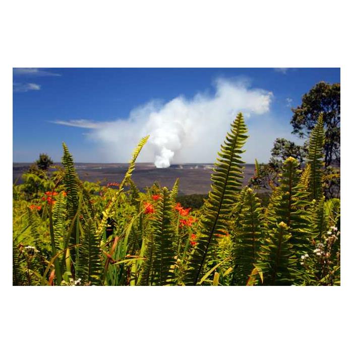 미국 하와이 오아후 섬에서 출발 빅 아일랜드 화산 헬리콥터 어드벤처 이미지 2