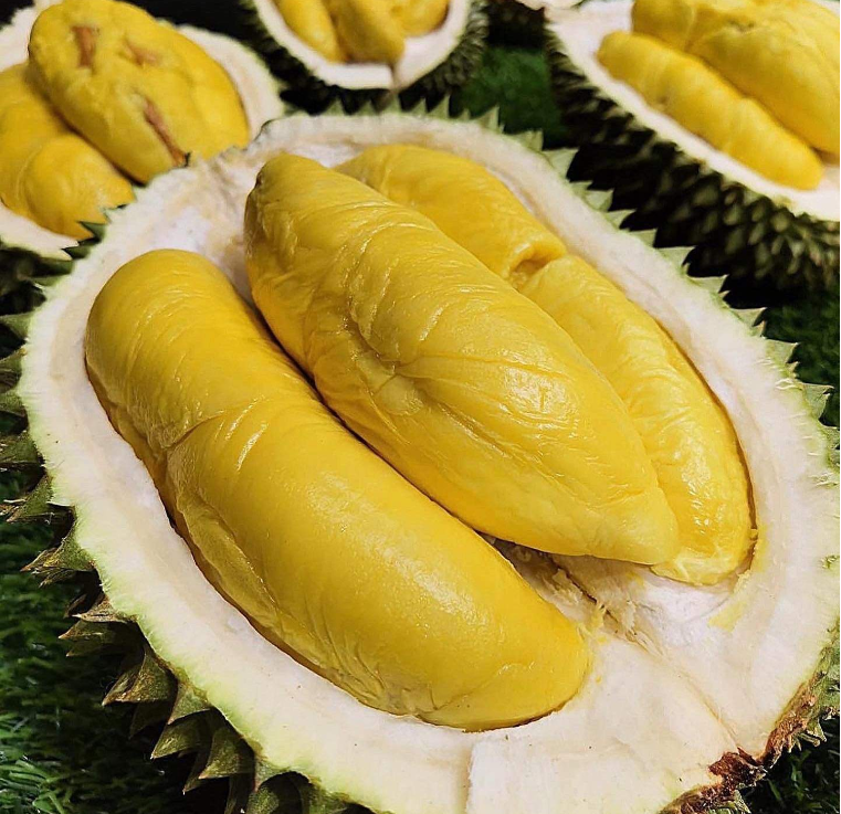 싱가포르 두리안 시식 원데이 클래스 by Golden Moments 이미지 3