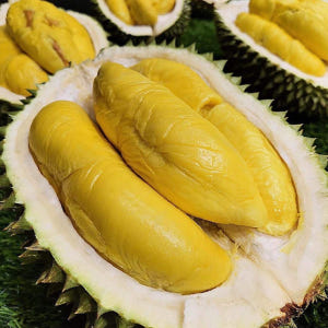 싱가포르 두리안 시식 원데이 클래스 by Golden Moments 솔직 후기 | 실사용자 리뷰 분석 - 상품 이미지 3