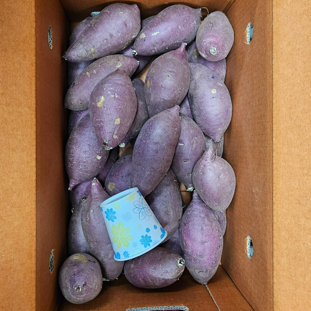 해뜨온 거산 찰랑(꿀밤)고구마 베니하루카 2kg 3kg - 상세 이미지 3