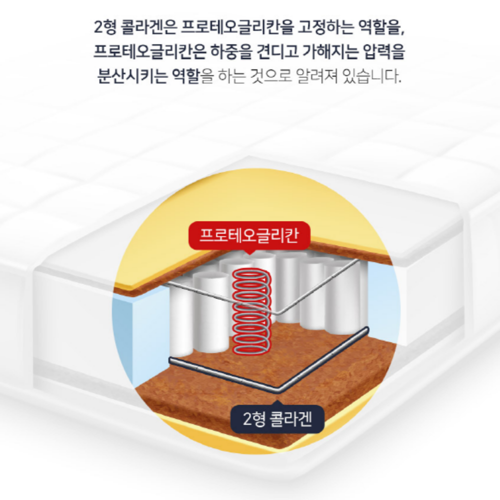 영양제쇼핑몰 연어코 소연골 콘드로이친 프로테오글리칸 이미지 6