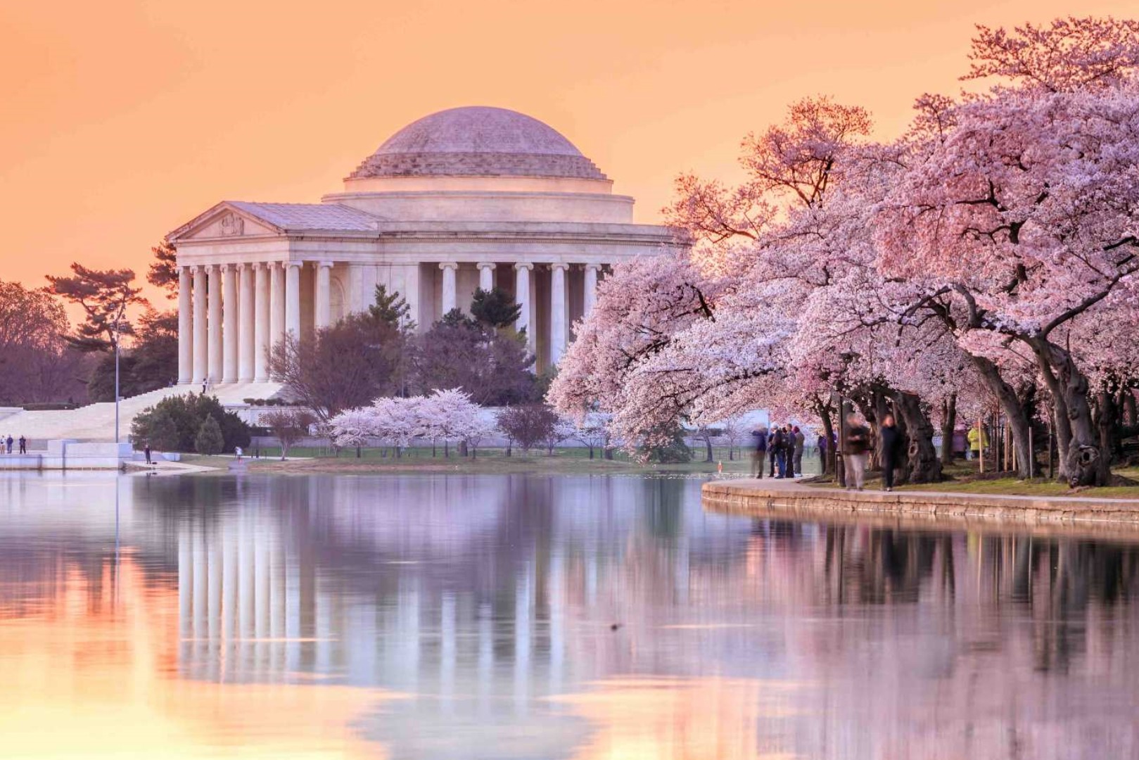 [2024 벚꽃축제] 미국 워싱턴 일일 투어 | 제퍼슨 기념관 & 이스트 포토맥 공원 & 유니온 마켓 이미지 4