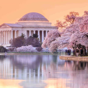[2024 벚꽃축제] 미국 워싱턴 일일 투어 | 제퍼슨 기념관 & 이스트... 솔직 후기 | 실사용자 리뷰 분석 - 상품 이미지 4