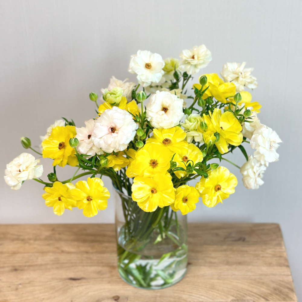 리틀캠든 버터플라이 라넌큘러스 생화 합리적인 온라인꽃집 이미지 3