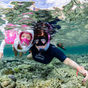 인도네시아 발리 멘장안섬 스노클링 반나절 투어 솔직 후기 | 실사용자 리뷰 분석 - 상품 이미지 4