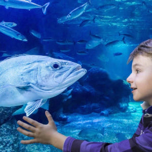 독일 베를린 씨 라이프 베를린 솔직 후기 | 실사용자 리뷰 분석 - 상품 이미지 2