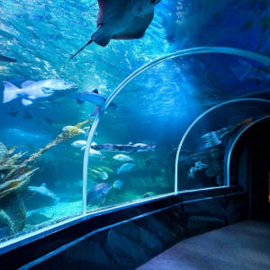 독일 베를린 씨 라이프 베를린 솔직 후기 | 실사용자 리뷰 분석 - 상품 이미지 1