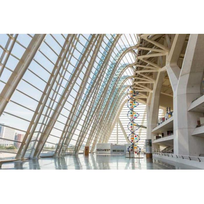 스페인 발렌시아 프린시페 펠리페 과학 박물관 입장권 이미지 2