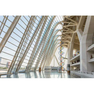 스페인 발렌시아 프린시페 펠리페 과학 박물관 입장권 솔직 후기 | 실사용자 리뷰 분석 - 상품 이미지 2