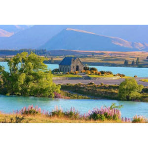 뉴질랜드 마운트쿡 & 테카포 호수 일일 투어 (크라이스트처치 출발) 솔직 후기 | 실사용자 리뷰 분석 - 상품 이미지 2