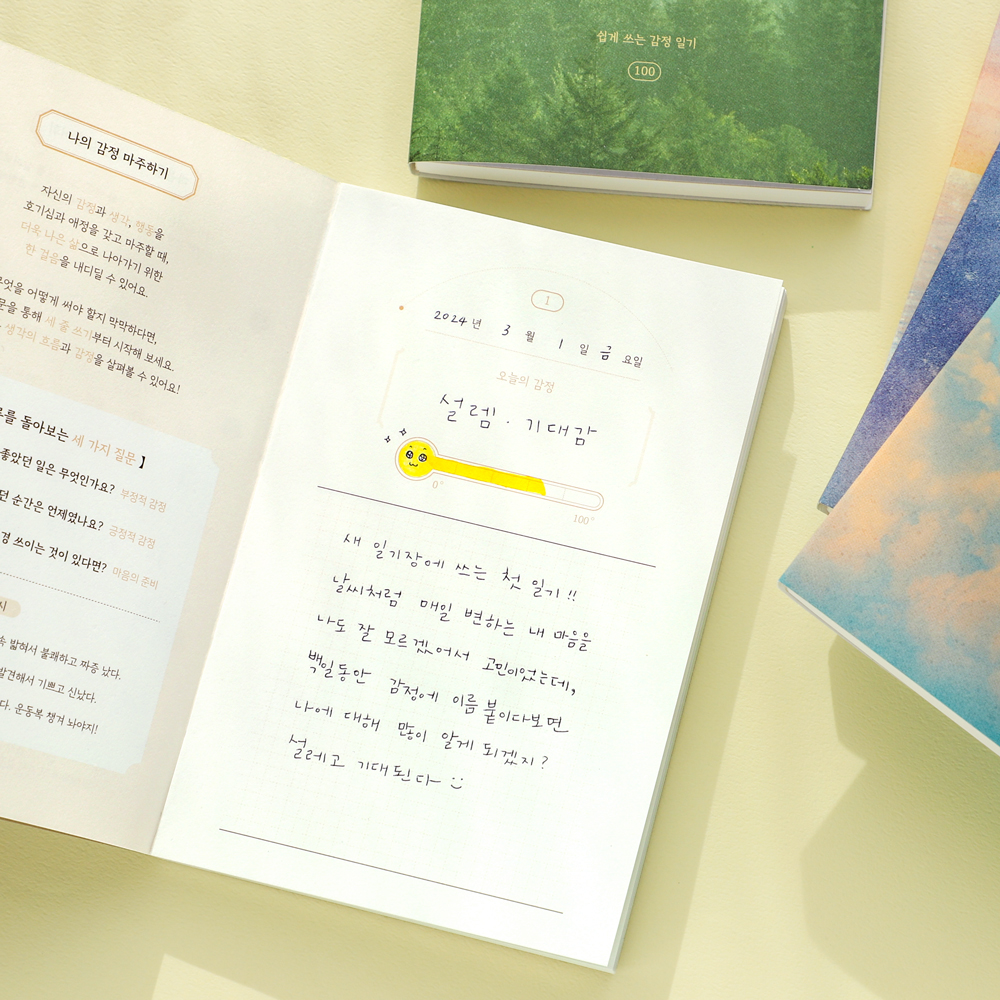 플레플레 100일 감정 일기장 마음기록함 - 상세 이미지 2