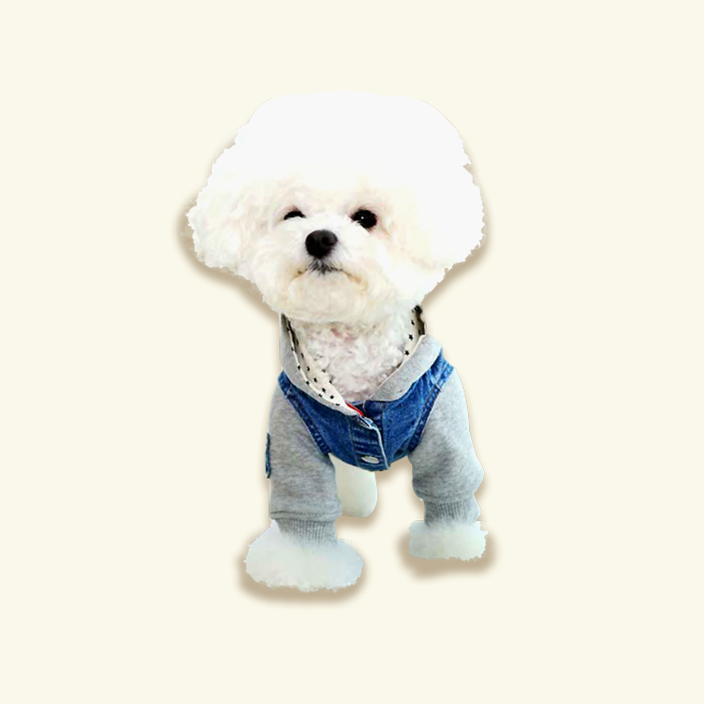 개과천선 점프 인 진 후디 강아지 후드티 애견 데님 패션 아우터 처짐방지 후드고정 단추 이미지 7