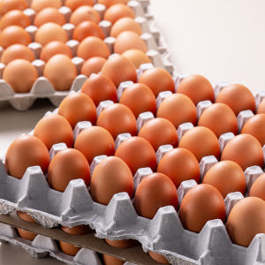 촉촉한 반숙란 반숙계란 30구 HACCP 맛있게 먹은 솔직 후기 - 상품 이미지 3