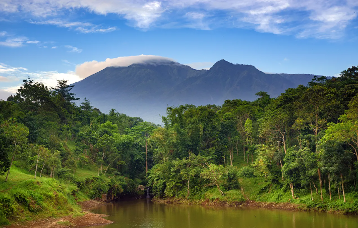 인도네시아 롬복 테테바투 소프트 트레킹 체험 (점심 식사 포함) 이미지 4