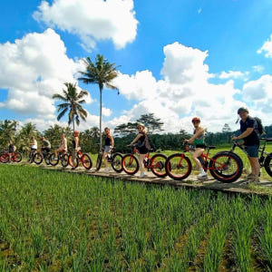 인도네시아 우붓 팻 타이어 전기자전거 투어 솔직 후기 | 실사용자 리뷰 분석 - 상품 이미지 1