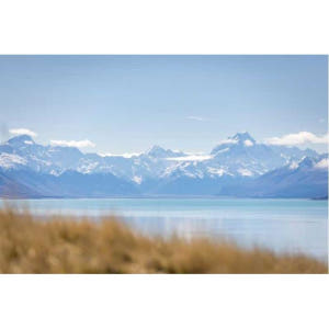 뉴질랜드 마운트쿡 & 테카포 호수 일일 투어 (크라이스트처치 출발) 솔직 후기 | 실사용자 리뷰 분석 - 상품 이미지 4