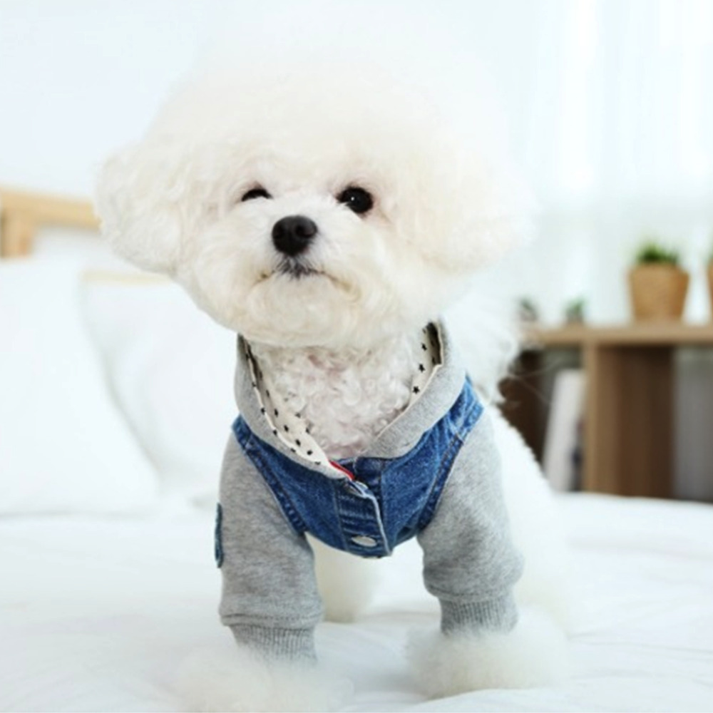 개과천선 점프 인 진 후디 강아지 후드티 애견 데님 패션 아우터 처짐방지 후드고정 단추 - 메인 이미지