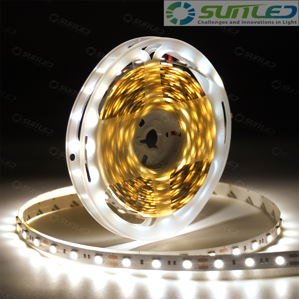 5050 LED바 5m롤 12V 스트립 면발광 줄조명 플렉시블 DIY 인테리어 조명