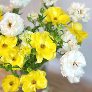 리틀캠든 버터플라이 라넌큘러스 생화 합리적인 온라인꽃집 솔직 후기 | 실사용자 리뷰 분석 - 상품 이미지 2