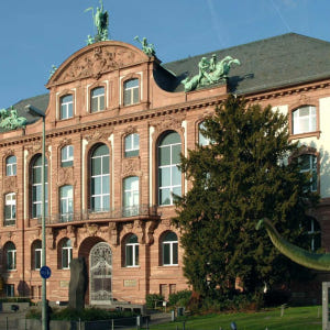 독일 프랑크푸르트 카드 솔직 후기 | 실사용자 리뷰 분석 - 상품 이미지 2