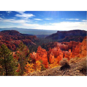 미국 라스베이거스에서 출발 옐로스톤, 요세미티, 로키 11일 투어 솔직 후기 | 실사용자 리뷰 분석 - 상품 이미지 3